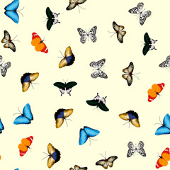 Realistic pattern of butterflies. Seamless vector illustration