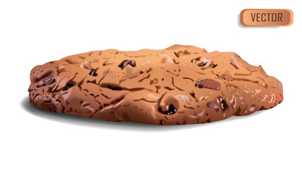 Chocolate chip cookies. Realistic vector illustration of homemade baking