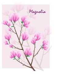 Fototapeta na wymiar Vector magnolia brunch for decor