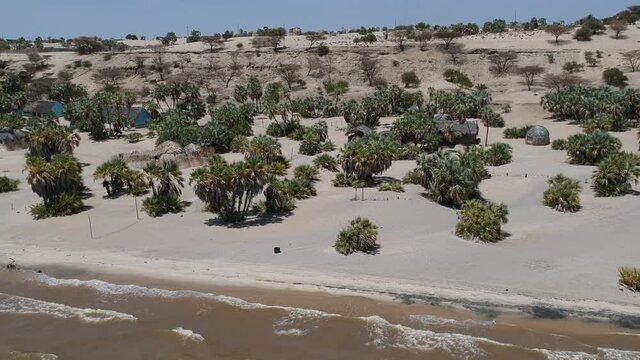 The shore of Lake Turkana with traditional huts of the Turkana people camera moving away from shore with waves lapping on the lakeshore at bottom