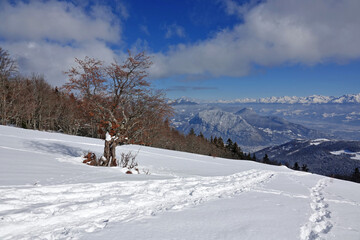 Randonnée raquettes dans le Vercors le jour de la Saint-Valentin 2021