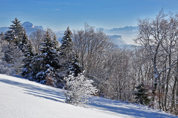 Randonnée raquettes dans le Vercors le jour de la Saint-Valentin 2021
