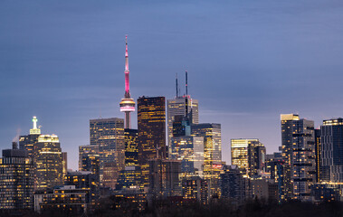 Toronto city view from Riverdale Avenue. Ontario, Canada  
