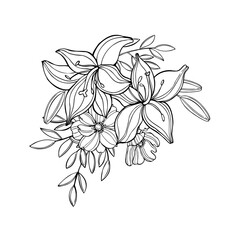 Garden flowers.Vector  illustration.