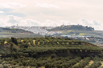 Stock photo of rural village with white houses in the middle of olive trees plantation. Aguilar de la Frontera, Cordoba, Spain.