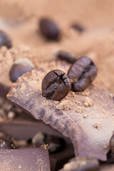 roasted coffee beans