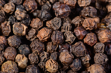 closeup background of pepper seeds. Black pepper corn seeds in macro photo