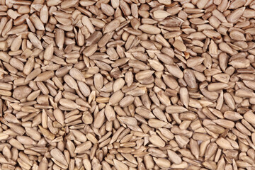 Sunflower seeds background