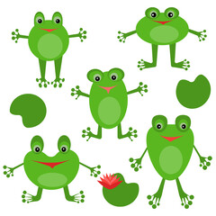 Obraz premium Set of cute frogs, positive green characters and swamp flowers