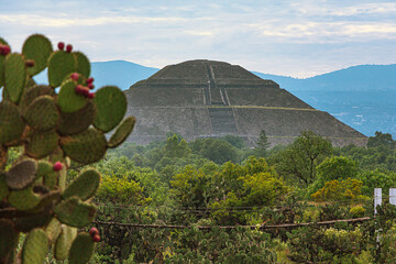 Pirámide azteca con Cactaceae