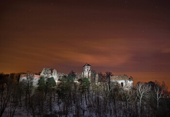 Ruiny zamku Tenczyn © piotrwolak
