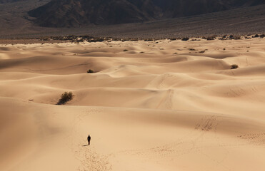Fototapeta na wymiar Mesquite Flat Sand Dunes, Death Valley