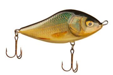 fish bait isolated on white