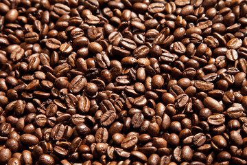 coffee grains background