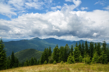 Mountains and spruce forest under low clouds in the overcast sky. View to Gorgany ridge and Mount Khomyak. Carpathians, Ukraine