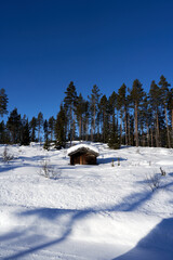 A little forest hut in the wild winter forest. sunny and clear winterday