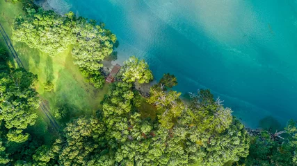 Fotobehang Aerial view of the forest on a shore of a beautiful harbor. Auckland, New Zealand. © Dmitri