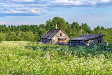 Country house in the forest