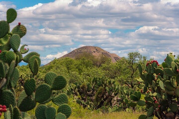 Piramide del sol y nopales