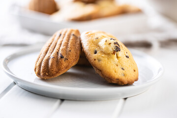 Madeleine with chocolate. Traditional French small cakes.