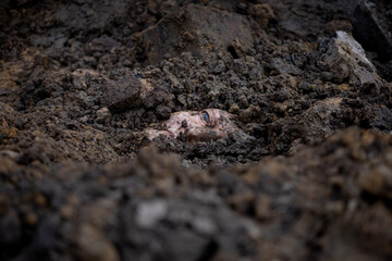 Part buried