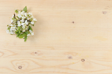 Wooden board for use as a background or texture with cherry blossom. Flower arrangement, minimal holiday concept. Floral card, spring banner, selective focus, place for text