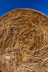 haystacks of their wheat straw