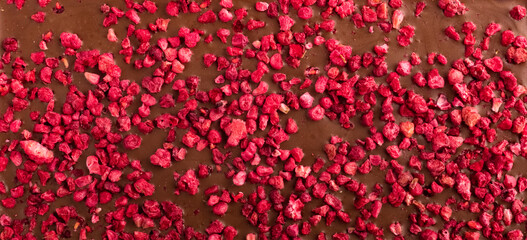 Chocolate bar with dried raspberries. Background, texture
