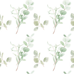 Watercolor pattern. eucalyptus  branches on a  light background. Suitable for backgrounds, wallpapers, textiles, fabrics.