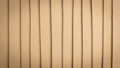 Cardboard, Carton, Ripped Kraft Paper, Wrapping Piece