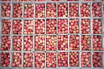 Top view of boxes with freshly picked pomegranate fruits. Freshly harvested pomegranate fruits in boxes. View from above.