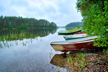Finlandia, Savonlinna, lake bank and vegetation