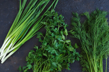 Fresh herbs on a dark background, top view. Parsley, onion, dill. Natural lighting