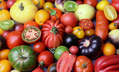 Tomatoes of different shapes and colors close-up selective focus, harvest of tomatoes.