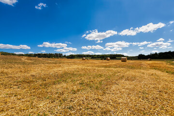 wheat straw is further used in agriculture,