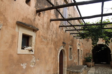 Fototapeta na wymiar On the territory of an old Cretan monastery. Cat on window