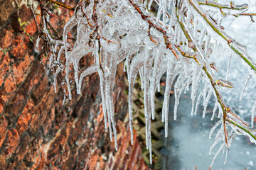 Vorhang aus Eiszapfen vor alter Mauer