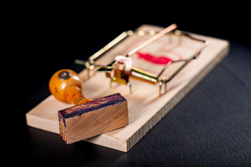 A mousetrap with a wooden office stamp. A trap for officials in the form of issued decisions.