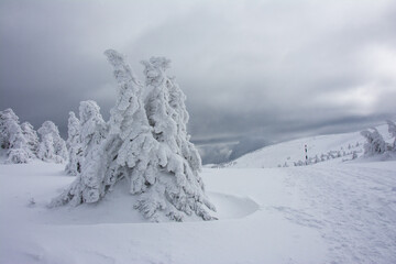 Panorama of the foggy winter landscape in the mountain