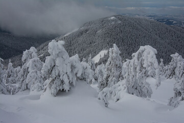 Obraz premium Panorama of the foggy winter landscape in the mountain