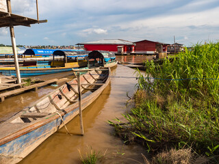 amazonia