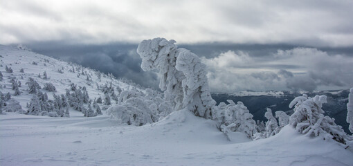 Fototapeta na wymiar Panorama of the foggy winter landscape in the mountain
