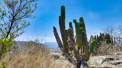 Valle de Oaxaca