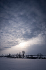 sunset in the winter