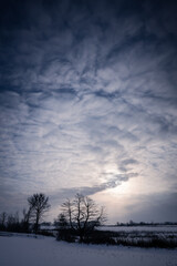 sunset in the winter