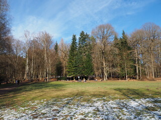 Glashütter Weiher - ein künstlich angelegter Weiher (eigentlich ein Stausee)...