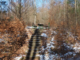 Glashütter Weiher - ein künstlich angelegter Weiher (eigentlich ein Stausee)...