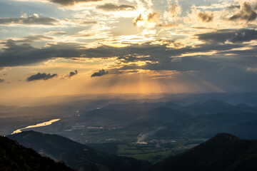 Golden hur from the Mala Fatra mountains