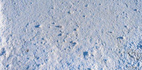 The Snowy Background Is Covered With A Thousand Bird Footprints. Winter Sunny Day. City Park. Free Space For Text.