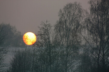 księżyc, niebo, słońce, noc, wschody, zima, światło księżyca, sylwetka, mgła, ciemny, śnieg,moon, sky, sun, night, landscape, sunrise, trees, winter, evening, moonlight, silhouette, fog, dark, snow, © Zygmunt